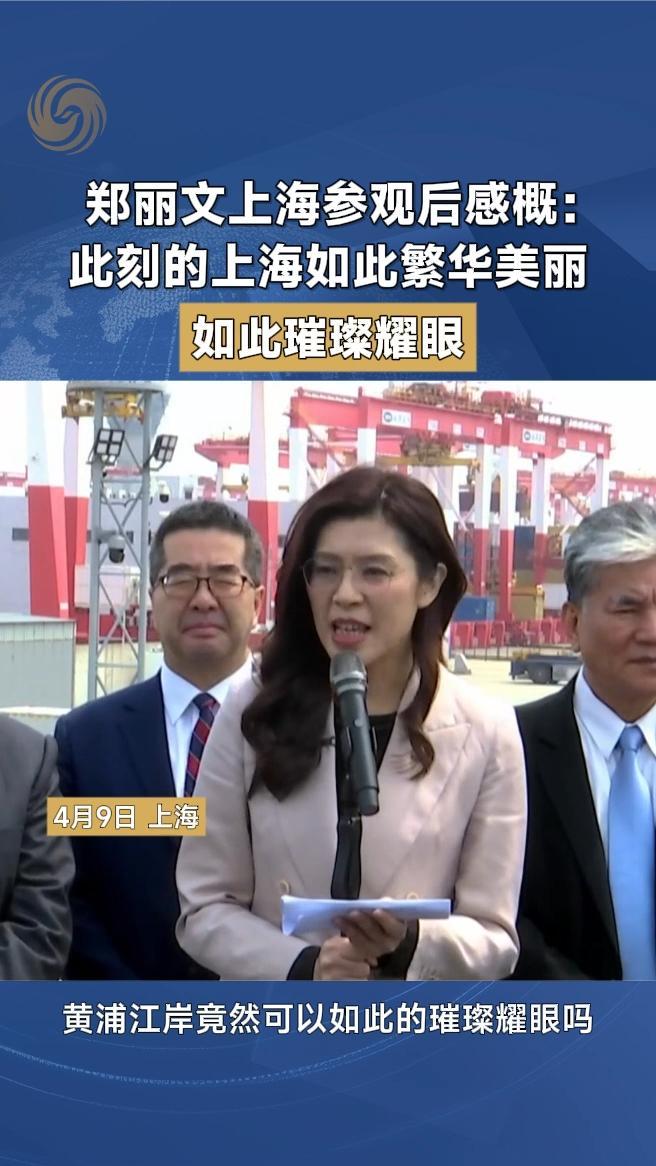 郑丽文上海参观后感概：此刻的上海如此繁华美丽，如此璀璨耀眼