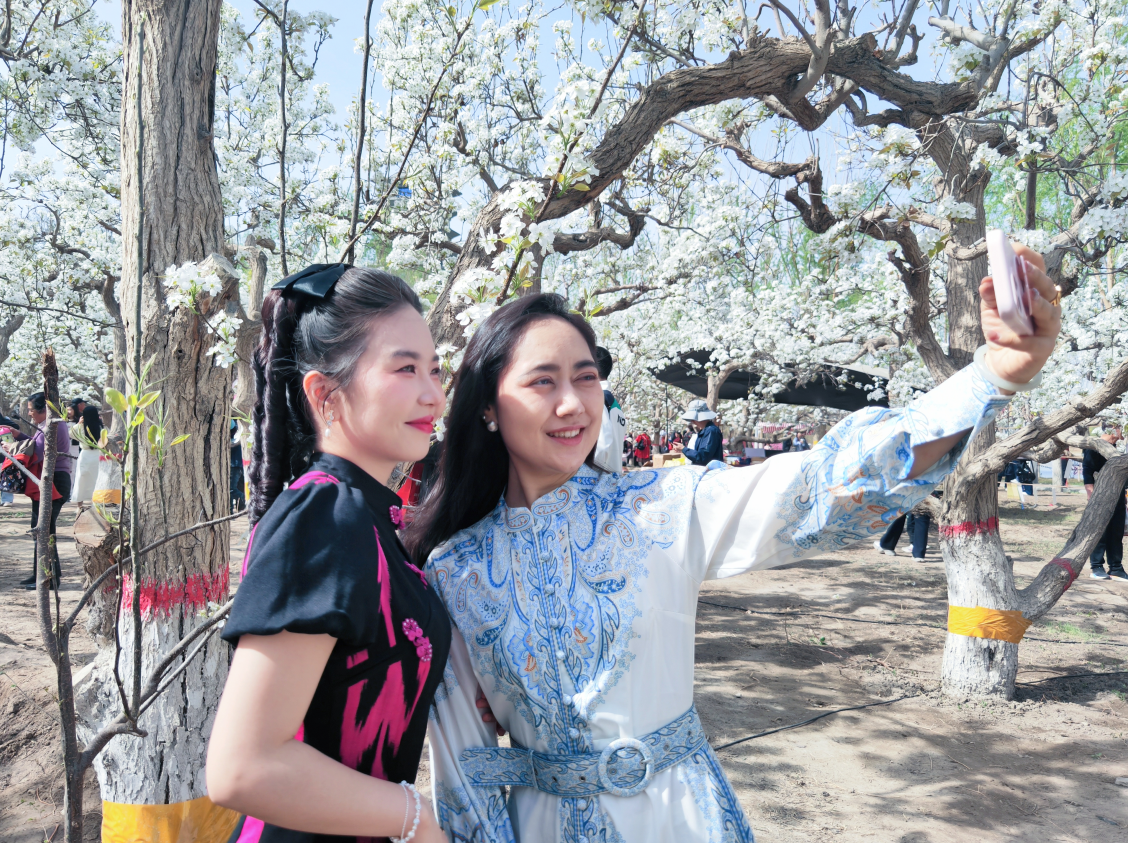 游客漫步花海拍照留念 （黄万里 摄）