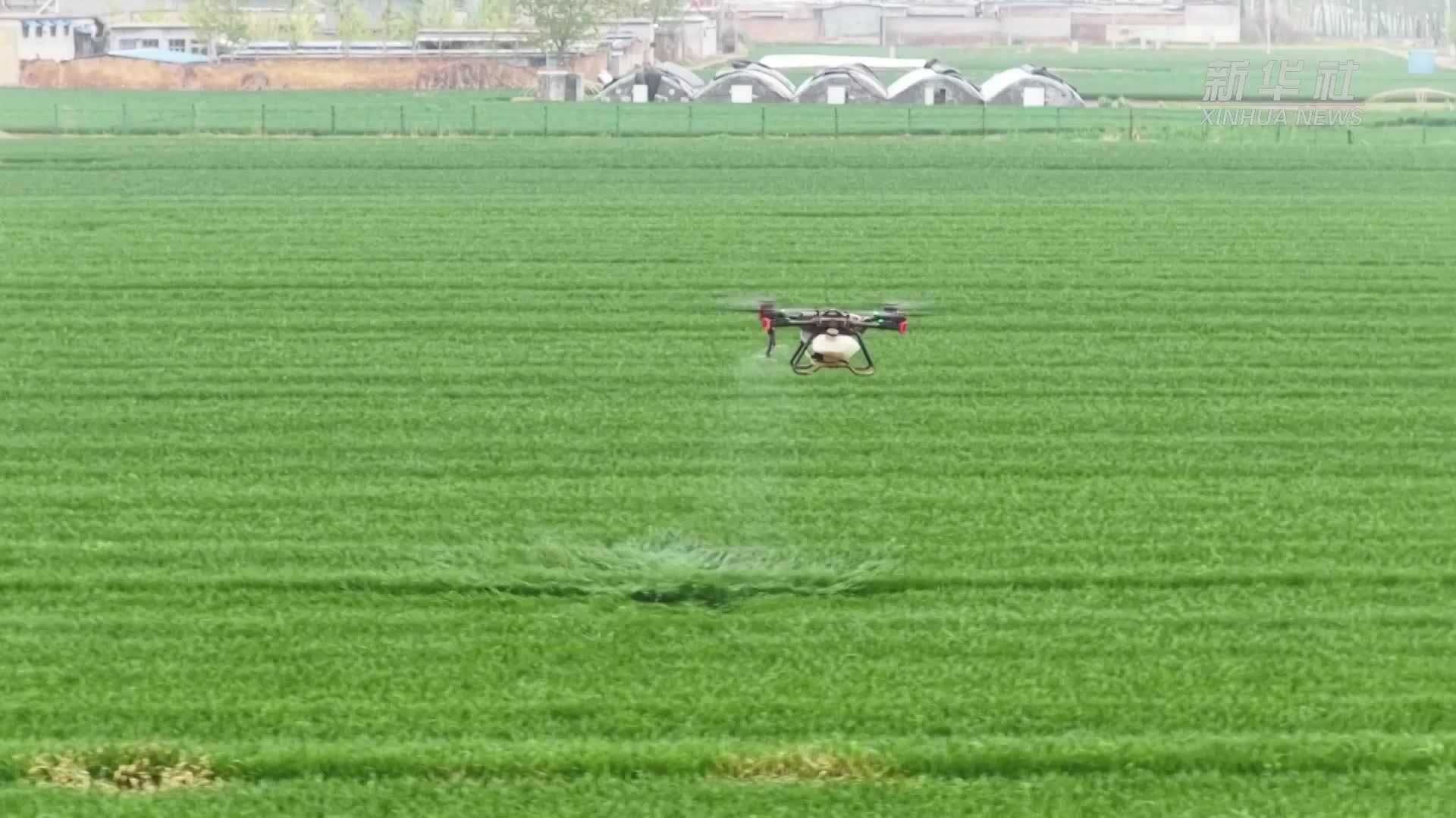 山东聊城：“新装备+新技术”助力春耕春管提质增效