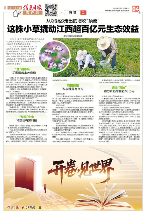 从《诗经》走出的增收“顶流” 紫云英撬动江西超百亿元生态效益
