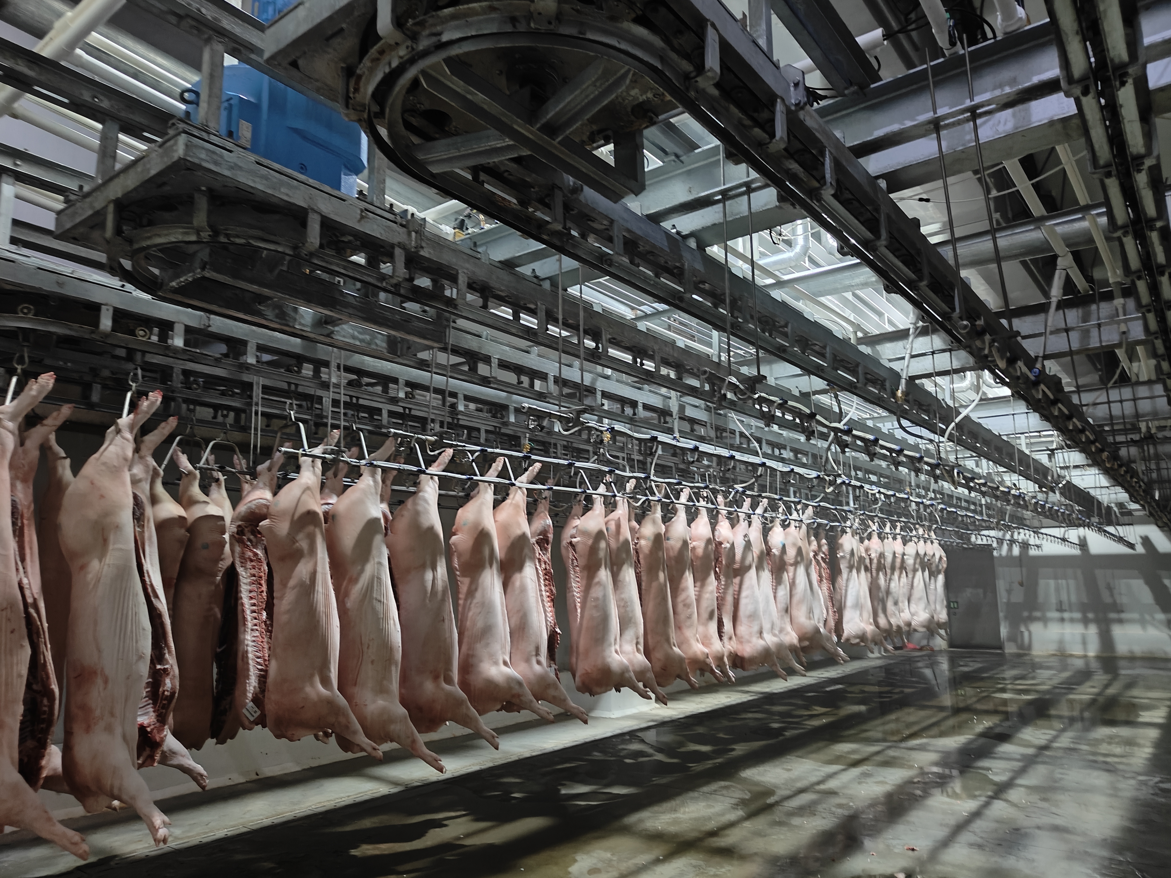 校企八年深度合作，融通创新链与产业链的“南农样板”