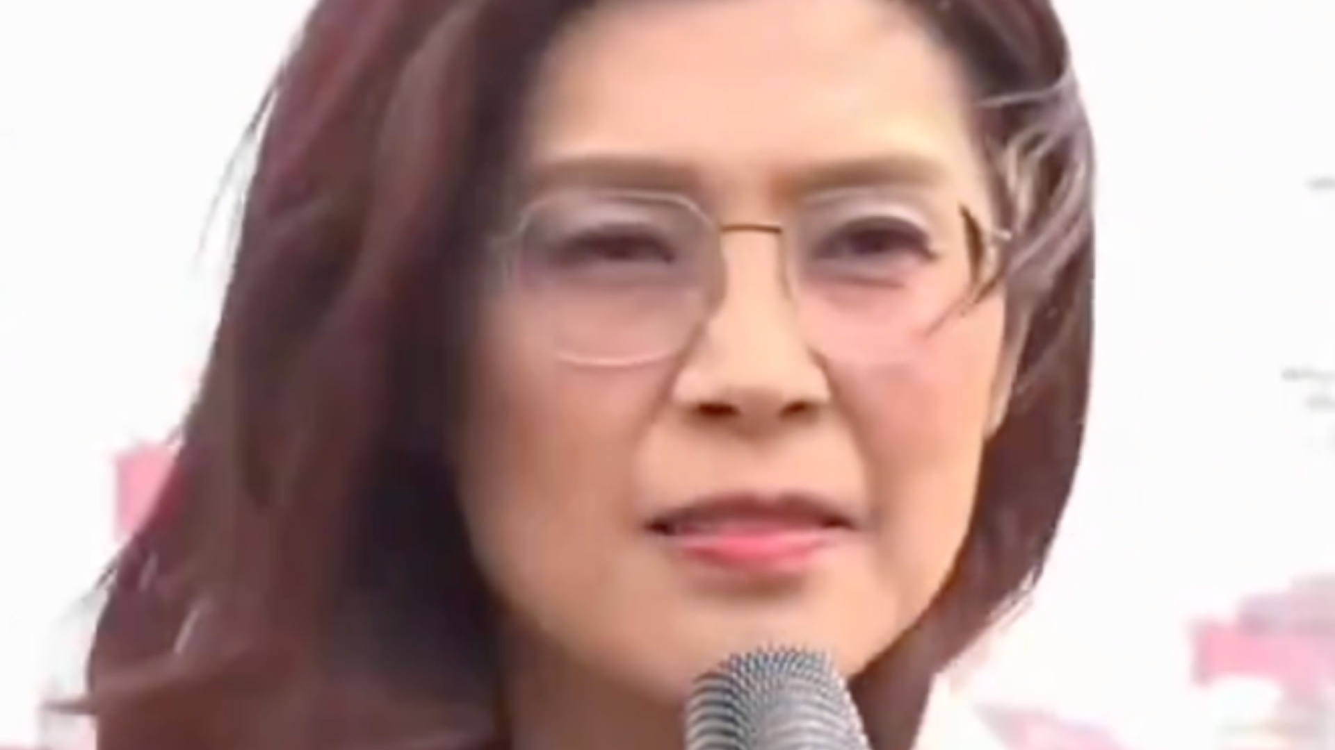 “在天上飞的应该是鸟不是飞弹，在海里游的应该是鱼不是军舰”，郑丽文：此行最希望带回台湾的礼物是和平