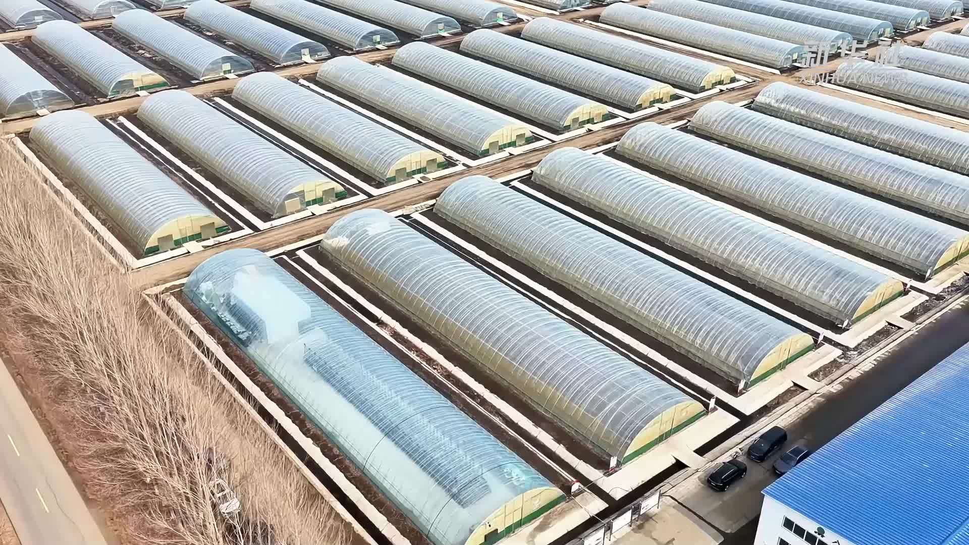 北大荒集团探索水稻育秧覆土无人化新技术