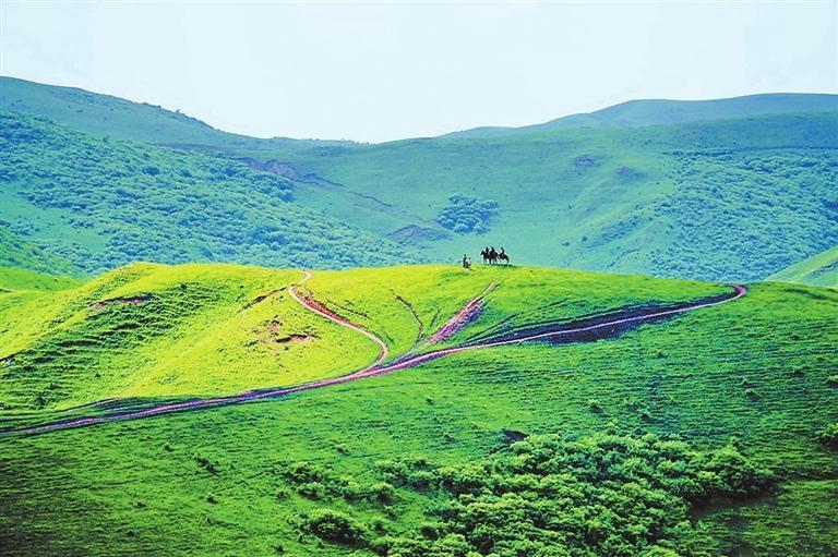 甘谷县古坡草原