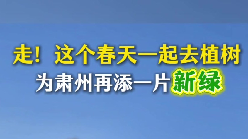 不负春光添新绿　甘肃肃州充“植”进行时