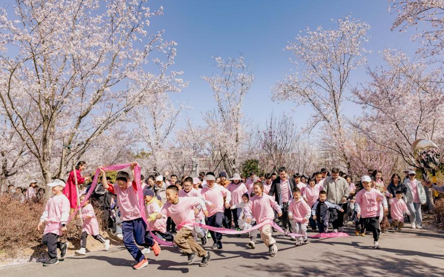 白鹭湾小镇孩子们在樱花树下尽情奔跑。五莲县委宣传部供图