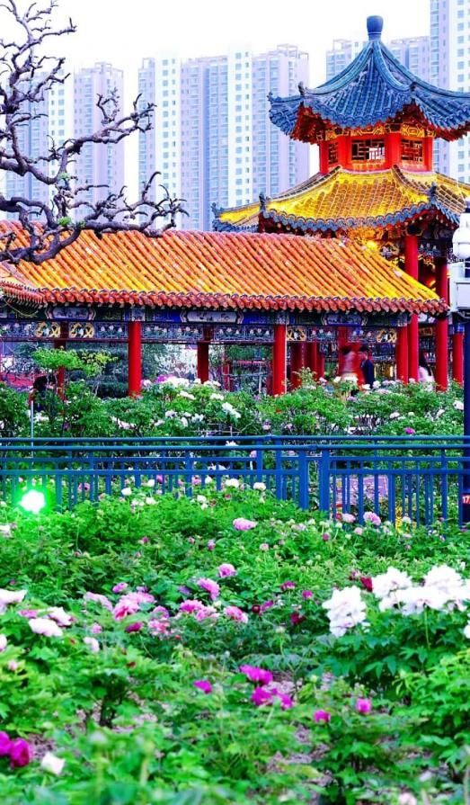 （图源：网信菏泽）