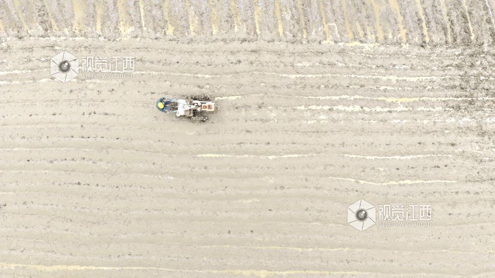 2026年4月8日，江西省吉安市峡江县水边镇义桥村高标准农田，村民驾驶农机在翻耕田地。