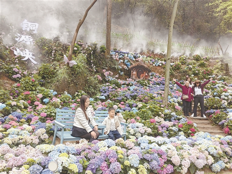 踏青赏春（图）