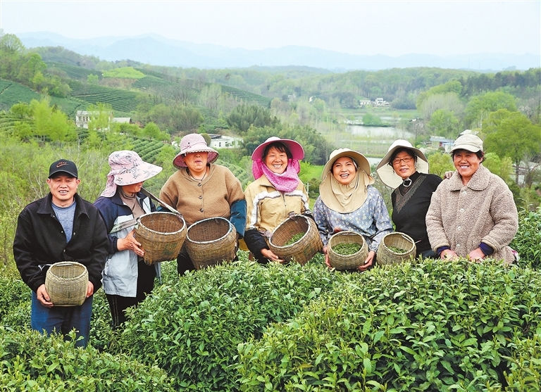 采茶人手上的竹筐装满了绿盈盈的茶叶，装满了沉甸甸的收获，也装满了茶乡人对美好生活的向往。