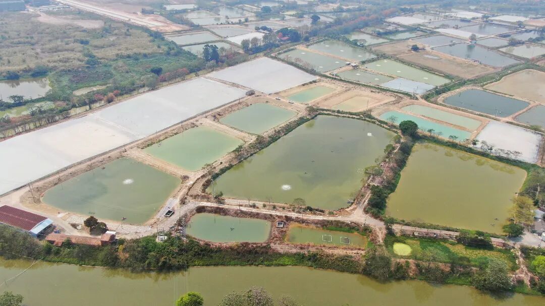 图：范湖村集中连片的渔业池塘