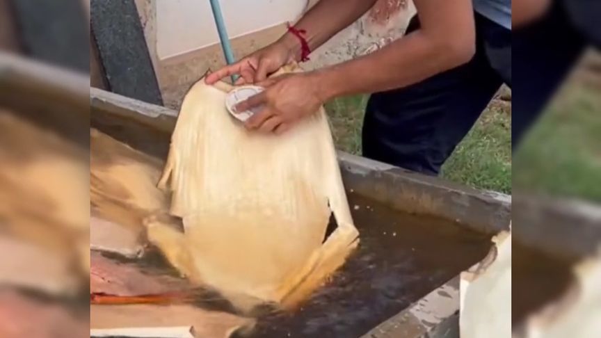 一片烂树叶压一压竟卖到国外高端餐厅