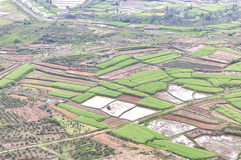 丰城：平地农田备春耕（图）