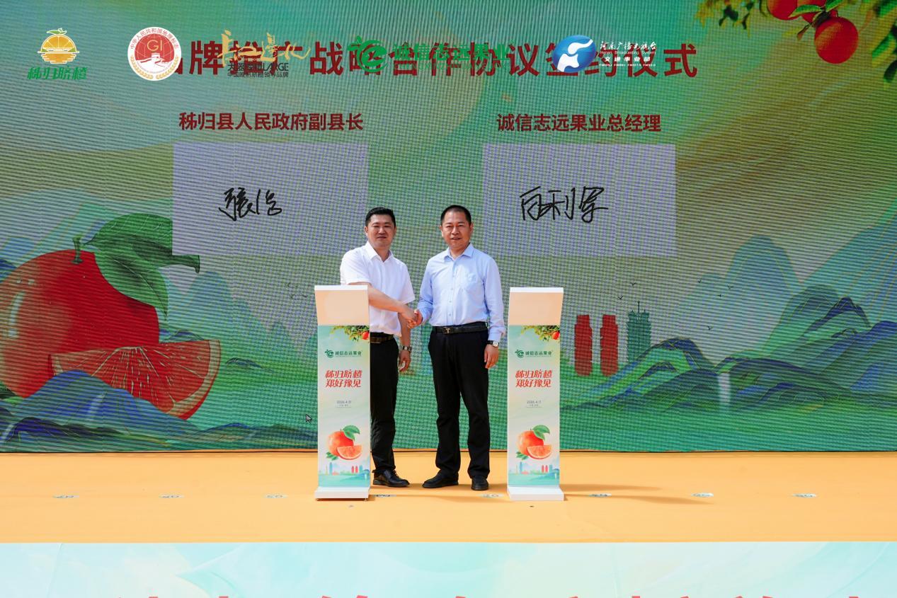 合作协议签约现场 李芳 摄