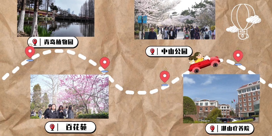 凤凰视频|2026市南区春日文旅打卡线路——养生疗愈系列之花海康养静心线路