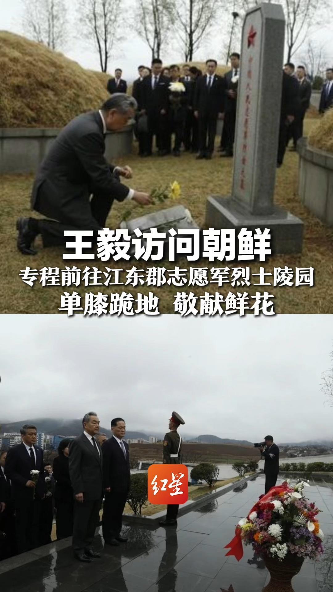 王毅访问朝鲜，专程前往江东郡志愿军烈士陵园，单膝跪地，敬献鲜花，1383名战士在这里长眠