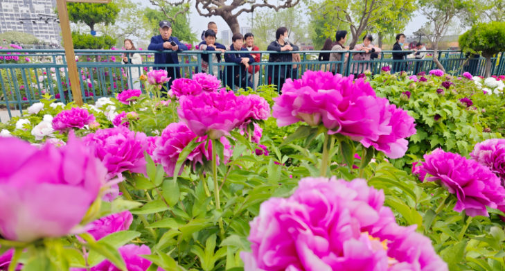 （图源：菏泽日报）
