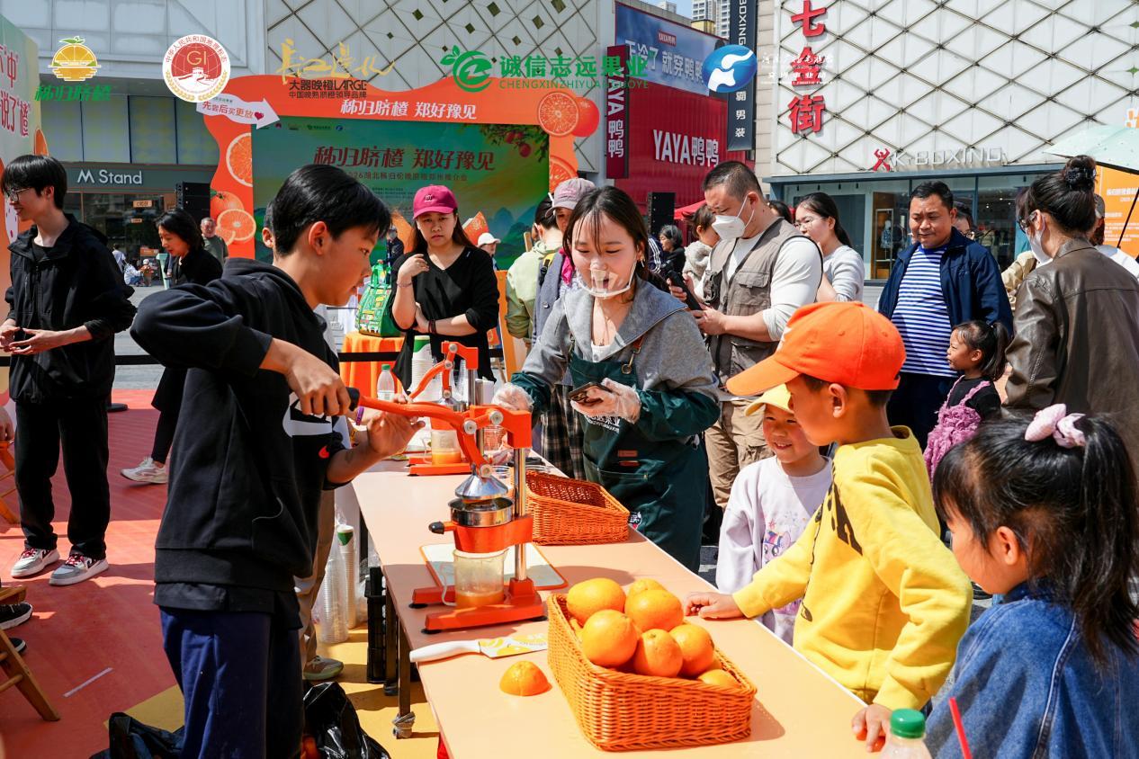 秭归脐橙榨汁游戏现场 李芳 摄