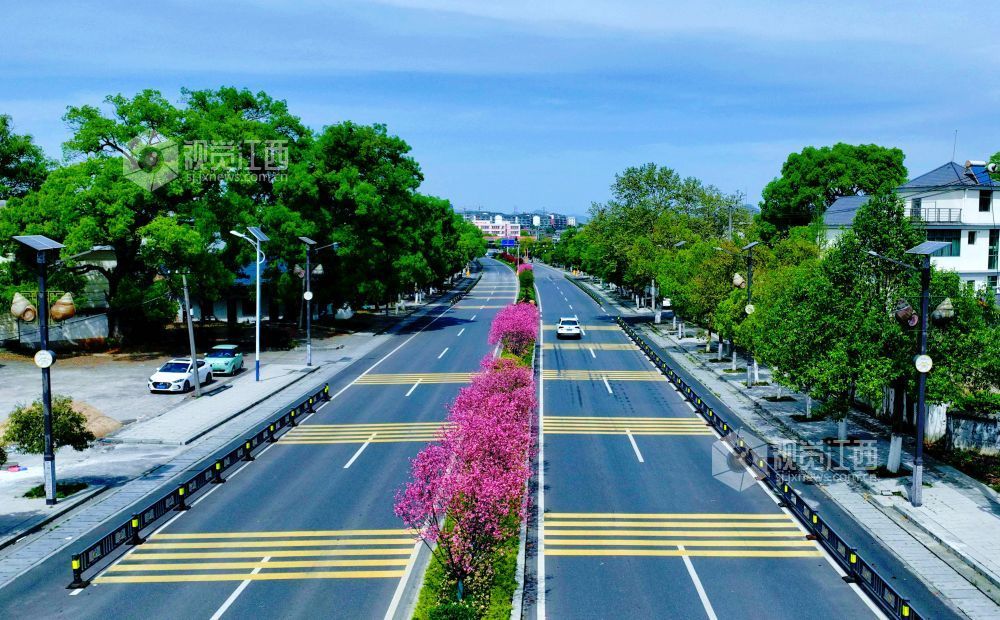 江西分宜：菊花桃盛开 添彩暮春光（图）