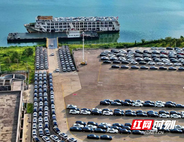 码头上繁忙的作业场景，是长沙助力国产汽车 “走出去” 的鲜活缩影。