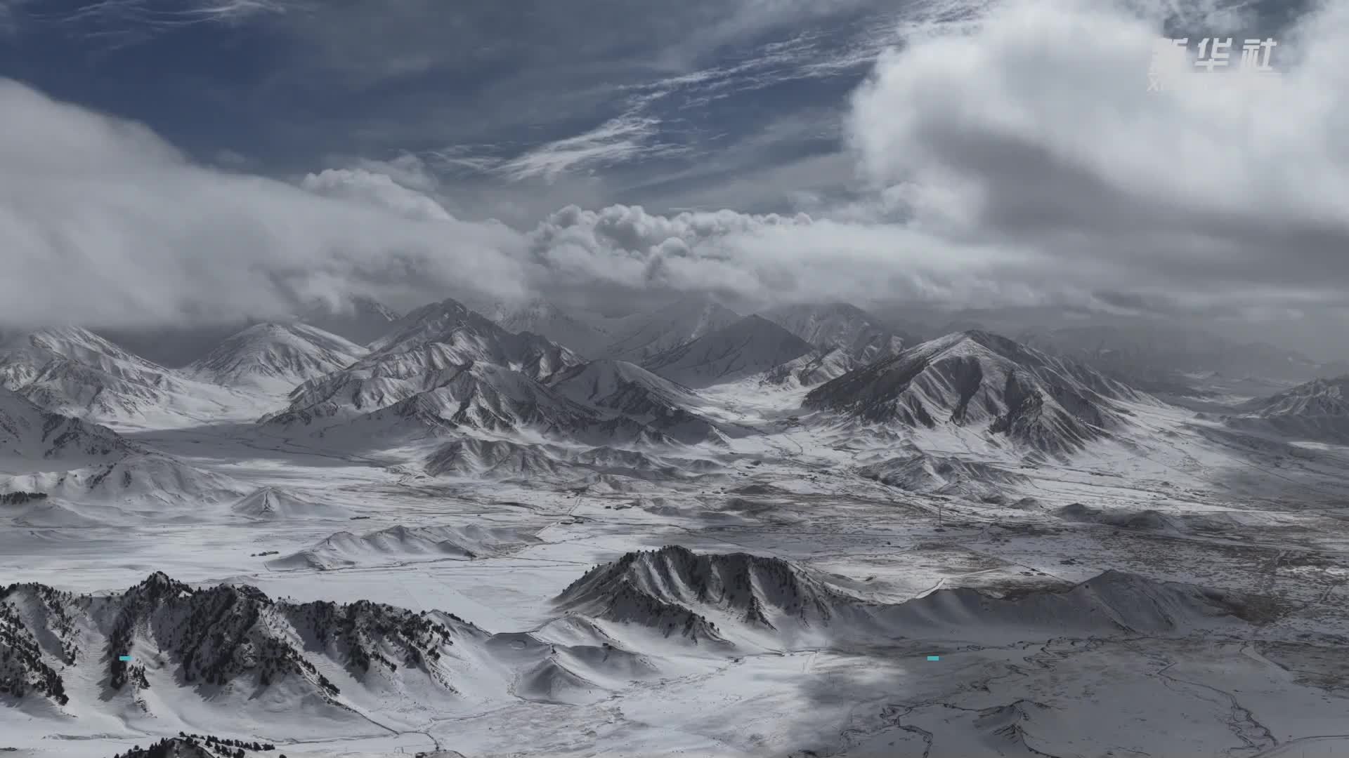 青海都兰：皑皑春雪映鹿群