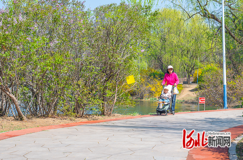 4月10日，市民在青龙湖公园游园。