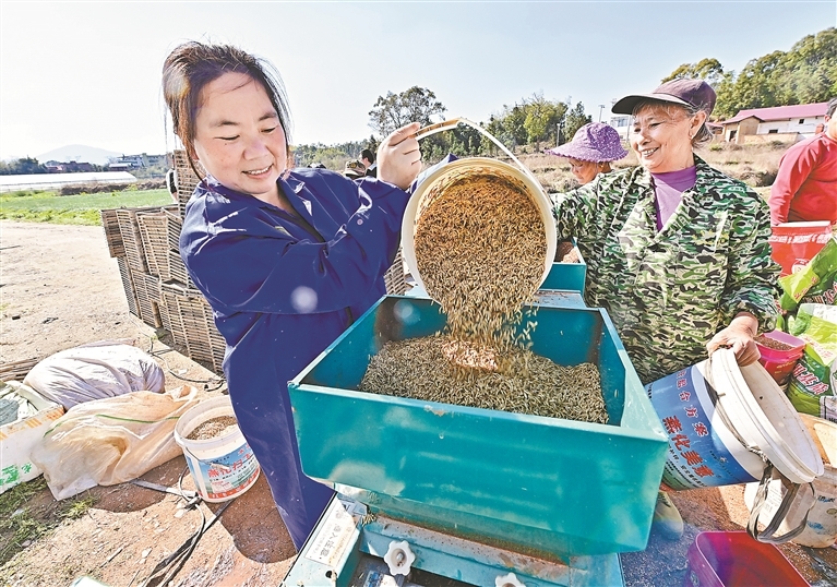 3月11日，田念（左）正在育秧机前操作。