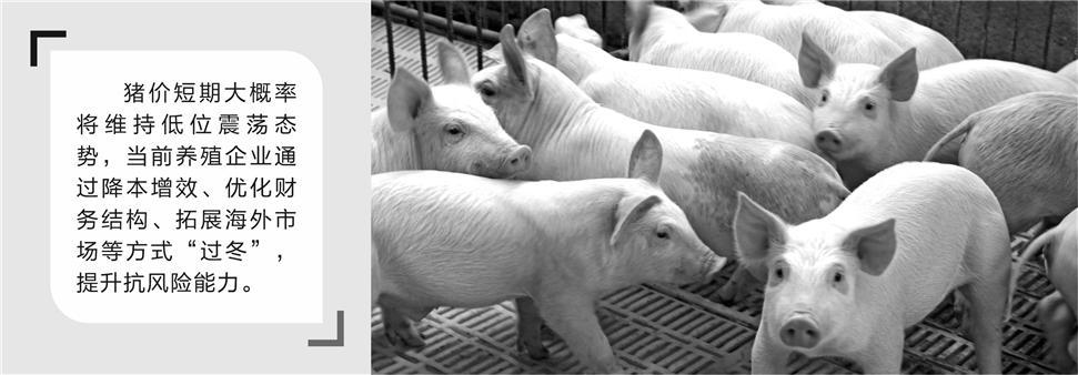 时报财经图库/供图