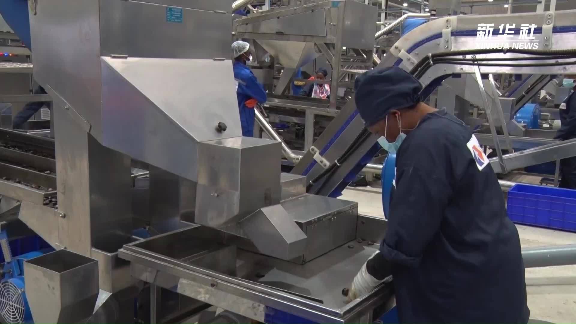 科特迪瓦推动腰果产业规范发展