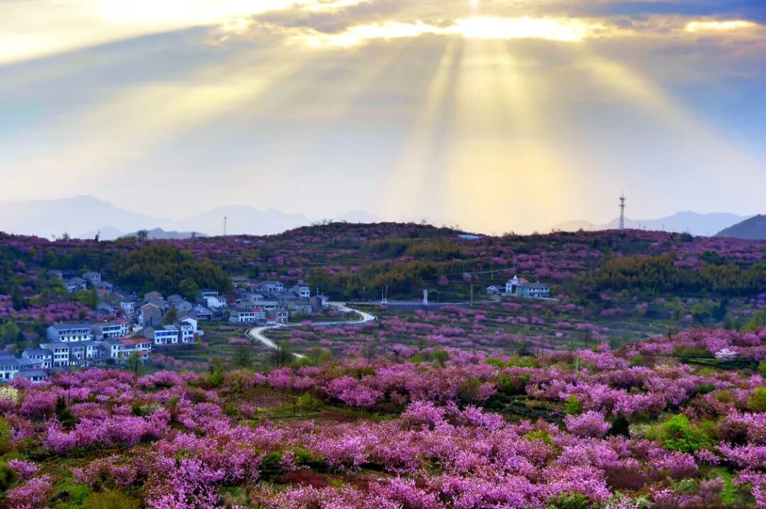 春满山村  郑奕迅.JPG