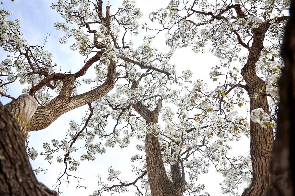 图源：奔流新闻