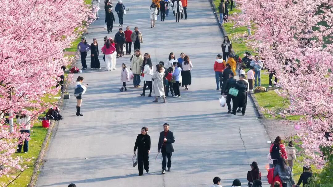 来源：龙虎山花语世界