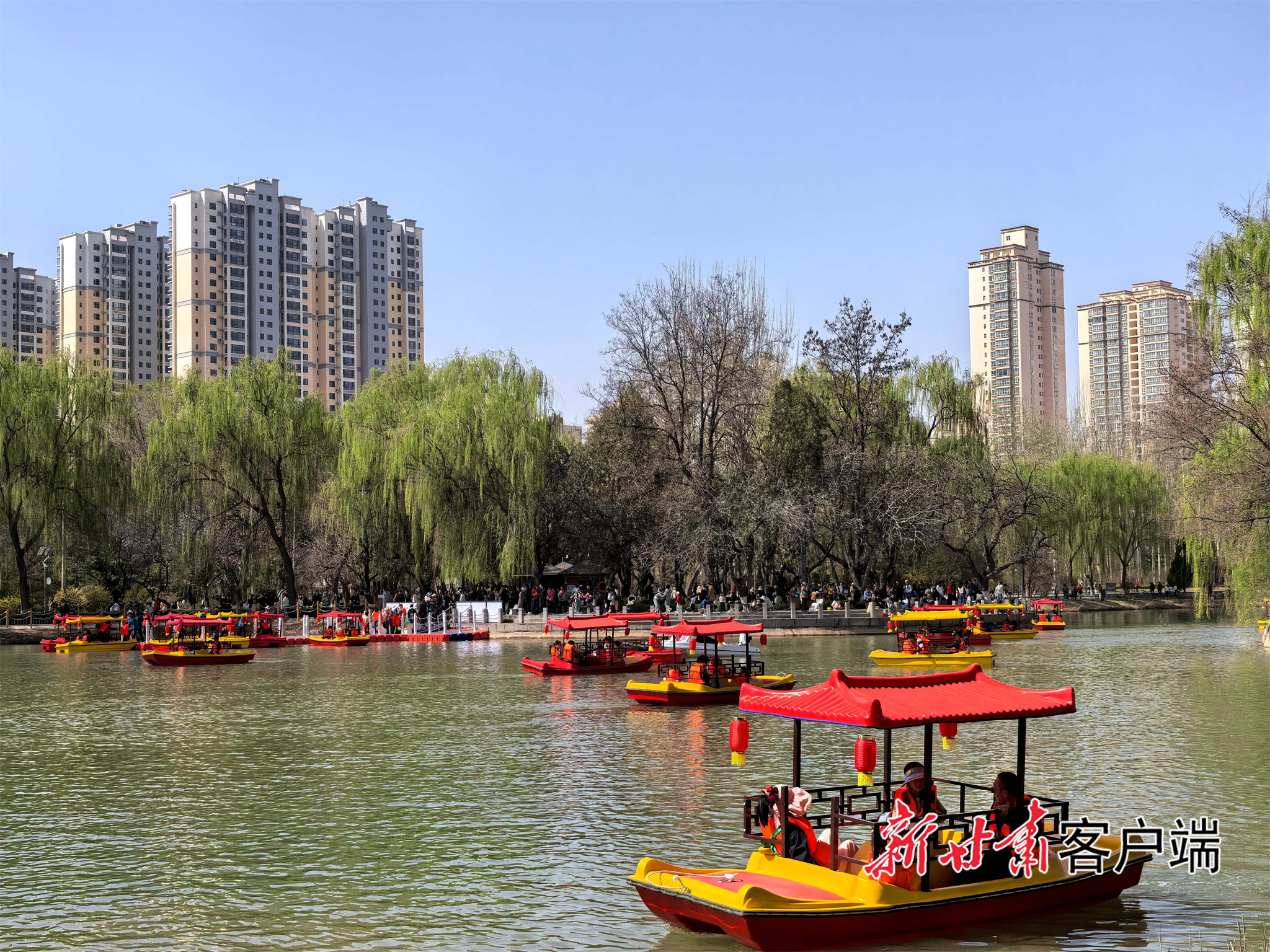 游客泛舟兰州植物园