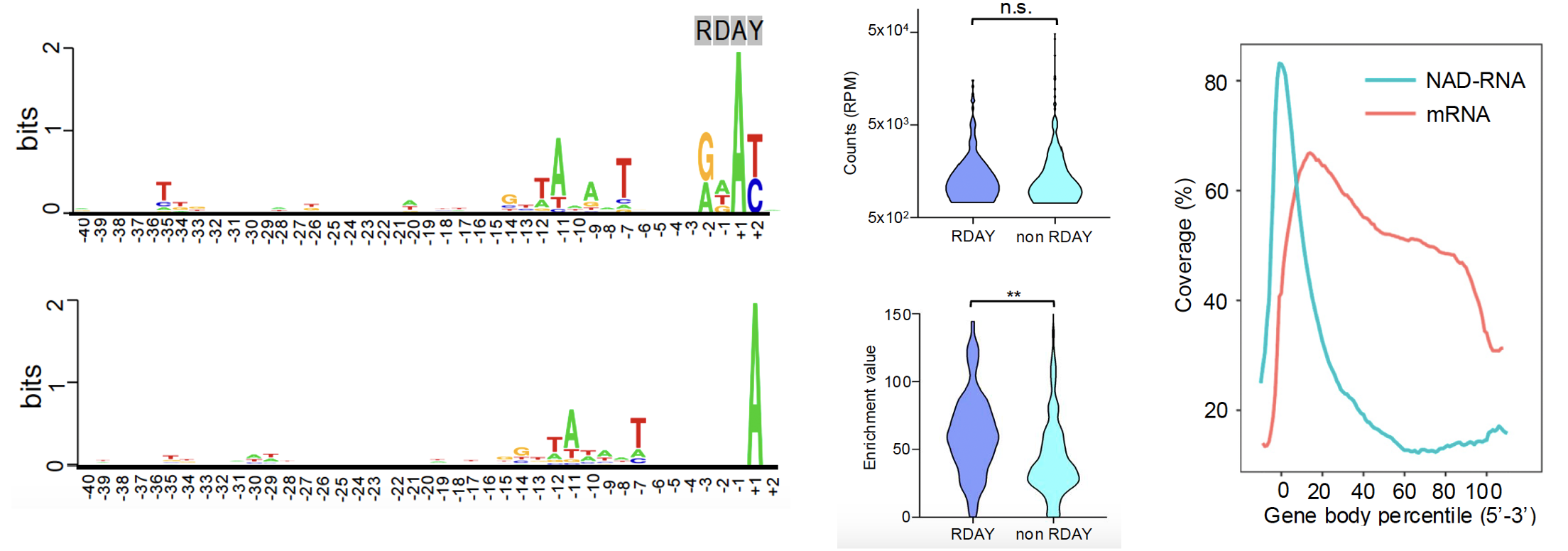 喜报！浙江万里学院再发Nature子刊：为破解细菌基因“开关”密码提供关键高精图谱