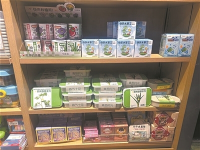 店里货架上的迷你种植杯