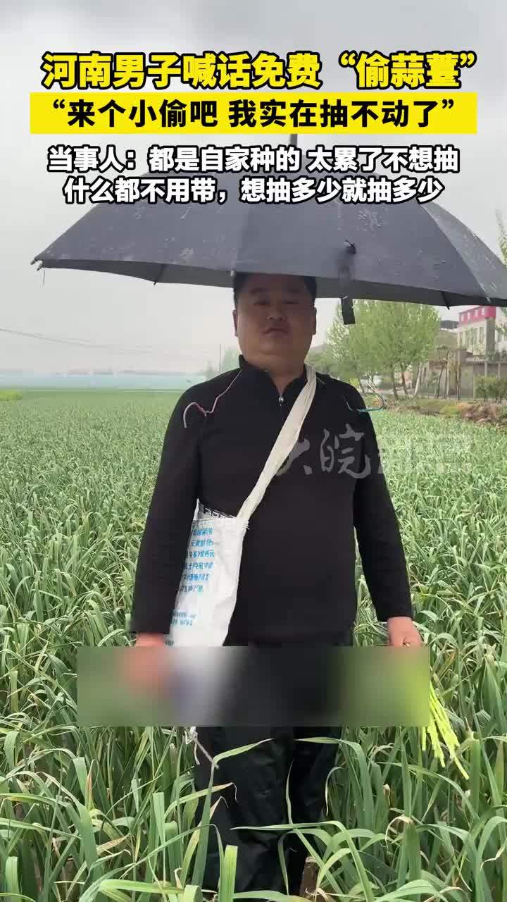 河南男子喊话免费“偷蒜薹”“来个小偷吧 我实在抽不动了”当事人：都是自家种的。太累了不想抽，什么都不用带，直接用手拽就行，想抽多少就抽多少