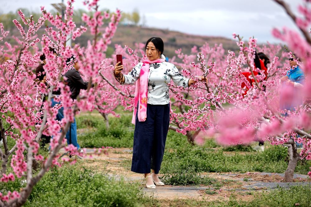 4月8日,游客在万亩桃林中踏青赏花。