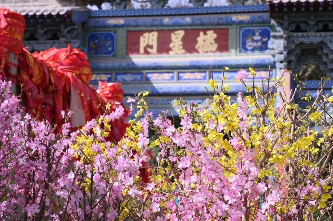 赴一场丝路儒风　醉赏古苑芳菲