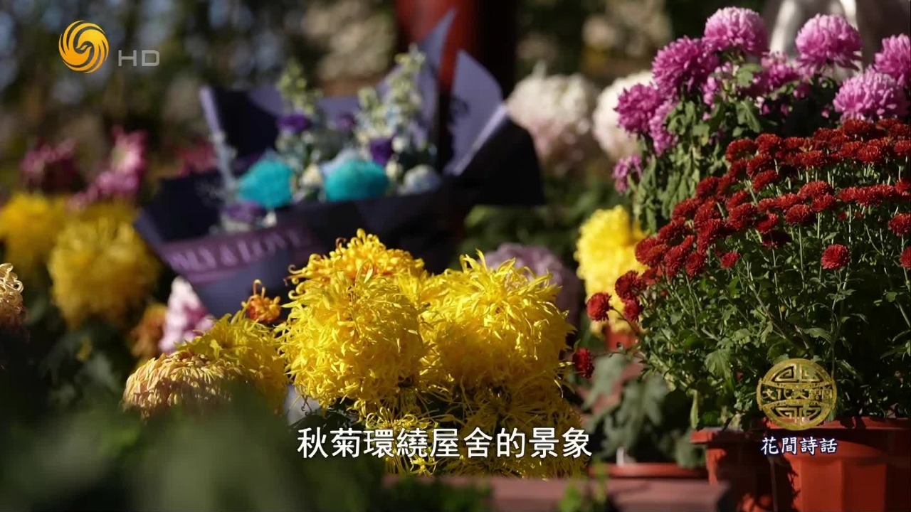 陶渊明为何会与菊花关联起来？