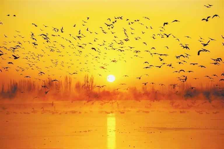《日出惊飞鸟》　新甘肃&middot;甘肃日报特邀通讯员　闫爱萍
