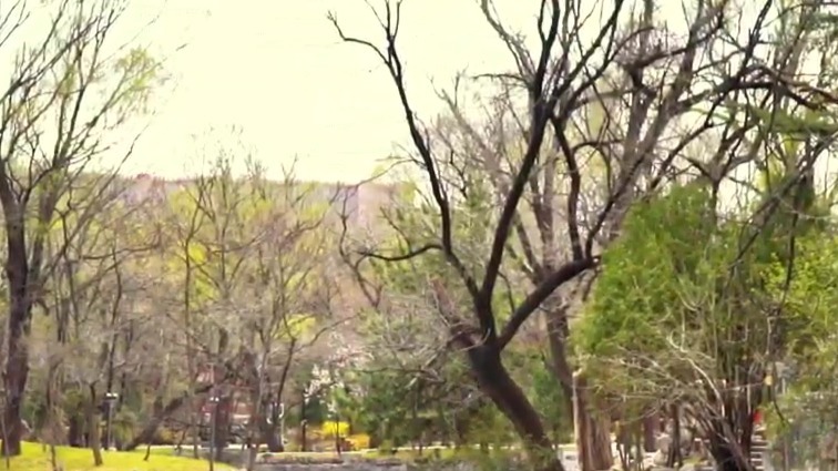 崆峒趣游记：走，主播带你寻找踏春好去处