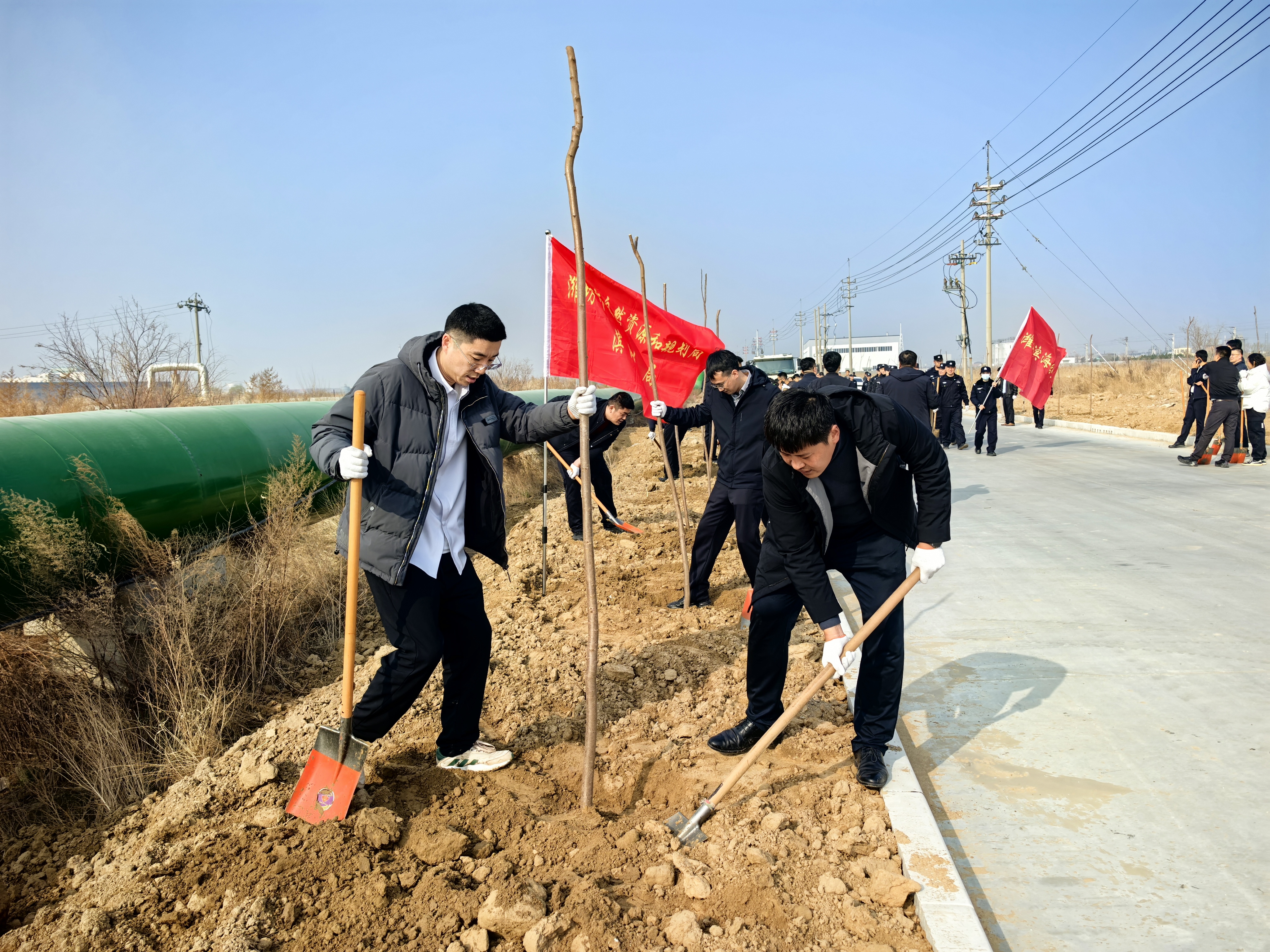潍坊滨海区全面开展三年绿化提升行动 致力打造生态滨海最美底色
