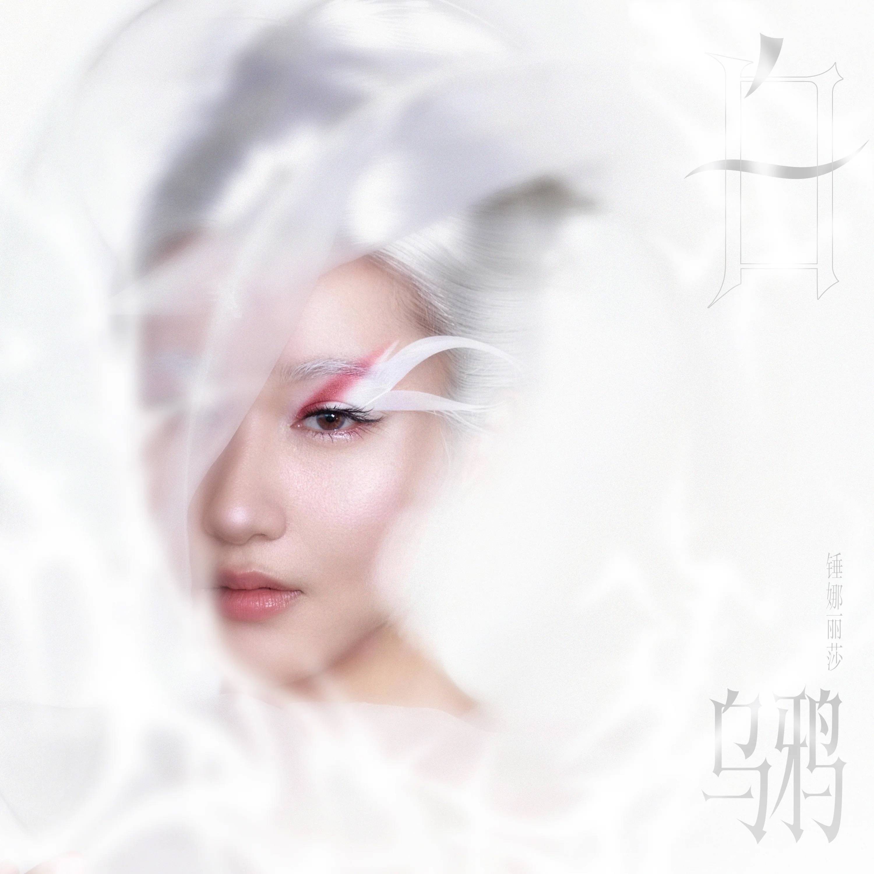 1 焦点.jpg