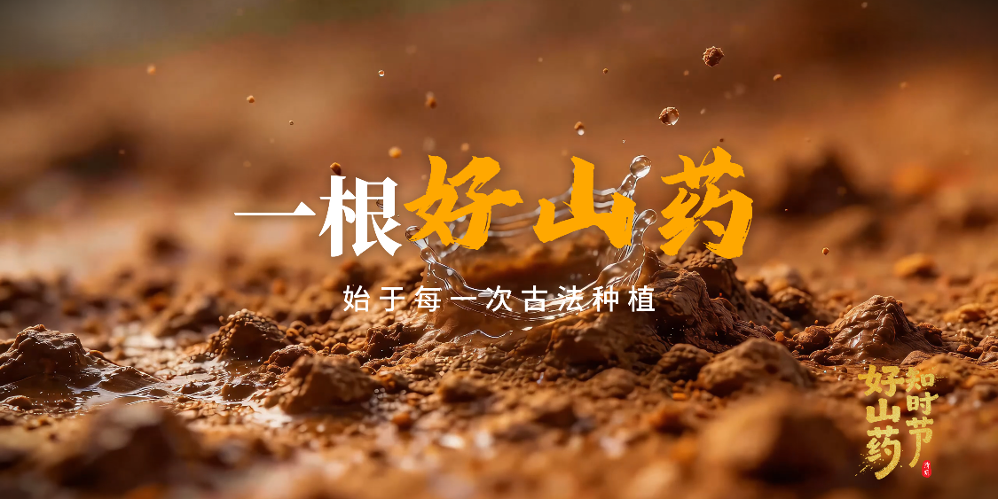 清明种下好山药，以匠心守护非遗
