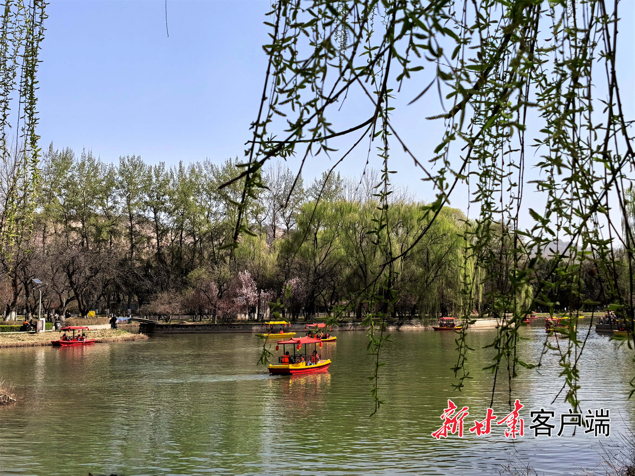 兰州植物园碧波荡漾