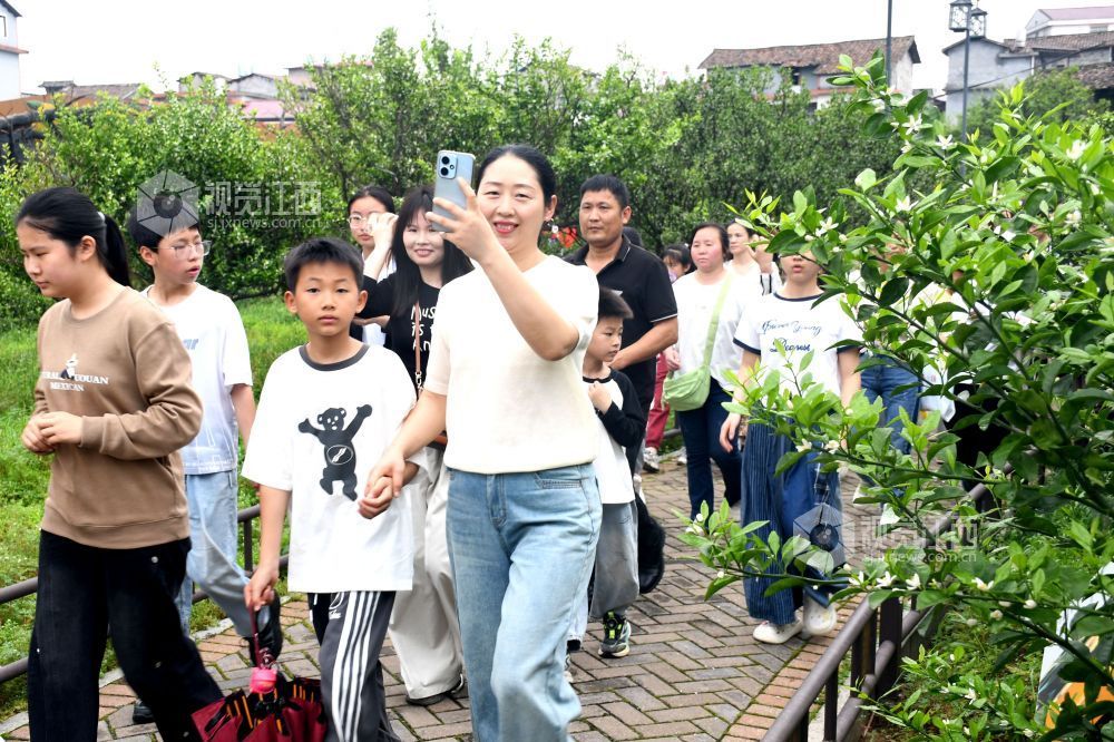 江西南丰:桔花飘香迎客来(图)