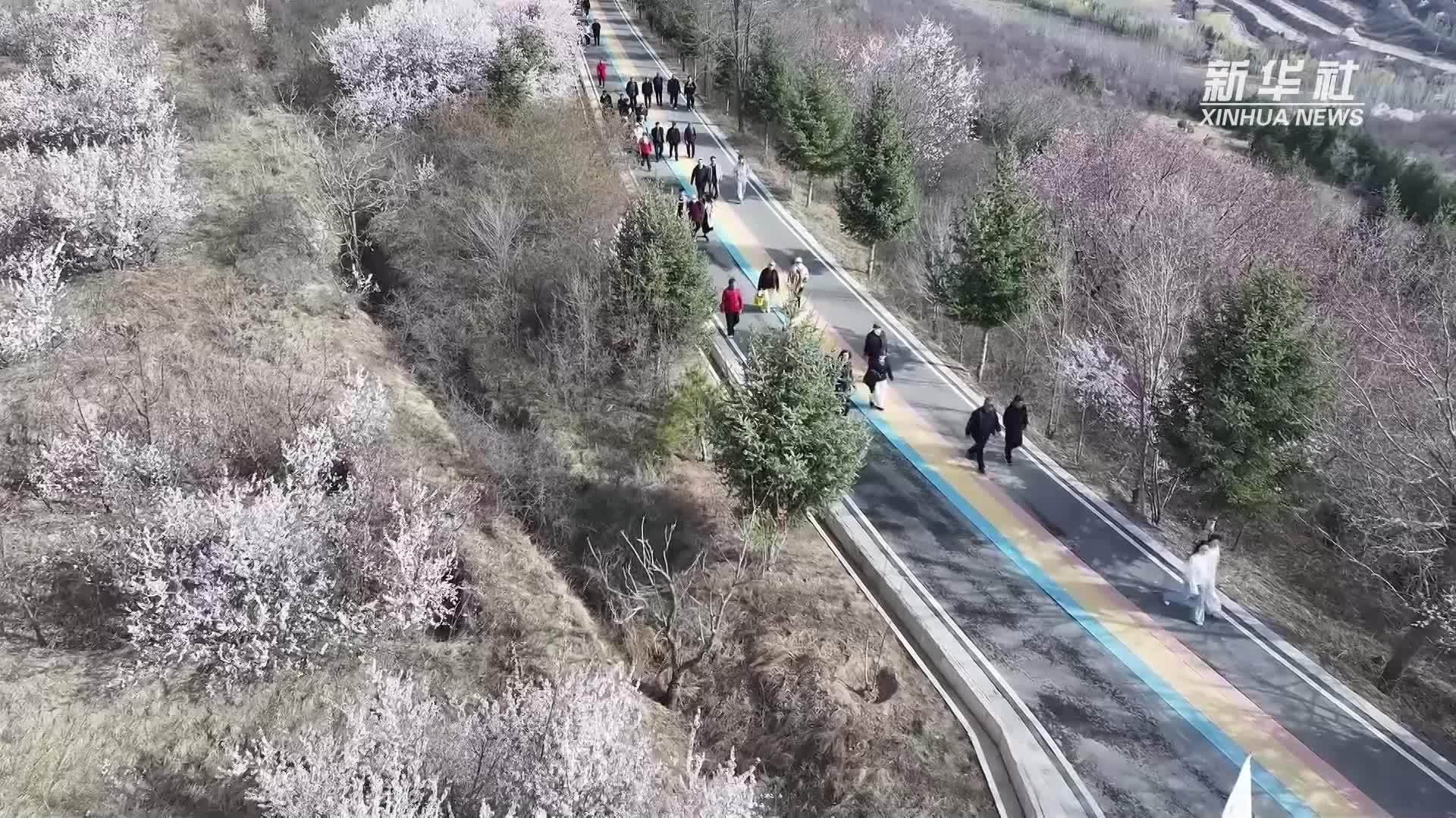 宁夏彭阳：山花节引客来 假日出游带热消费