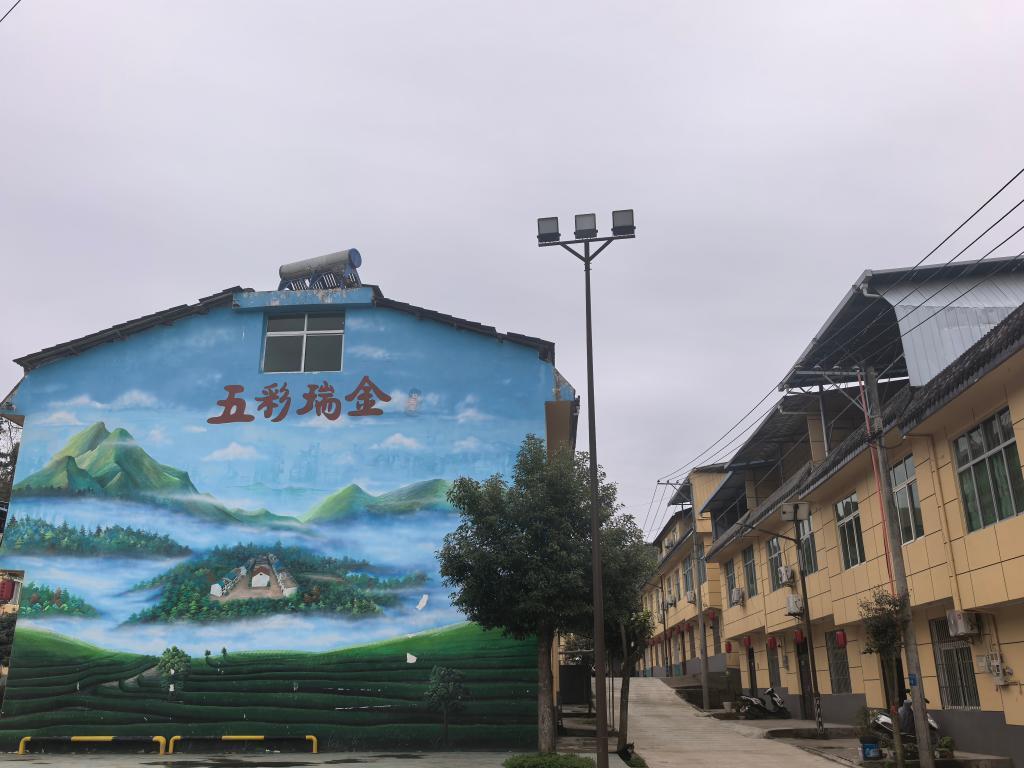 3月25日，陕西省安康市岚皋县瑞金村。新华社记者 李亚楠 摄