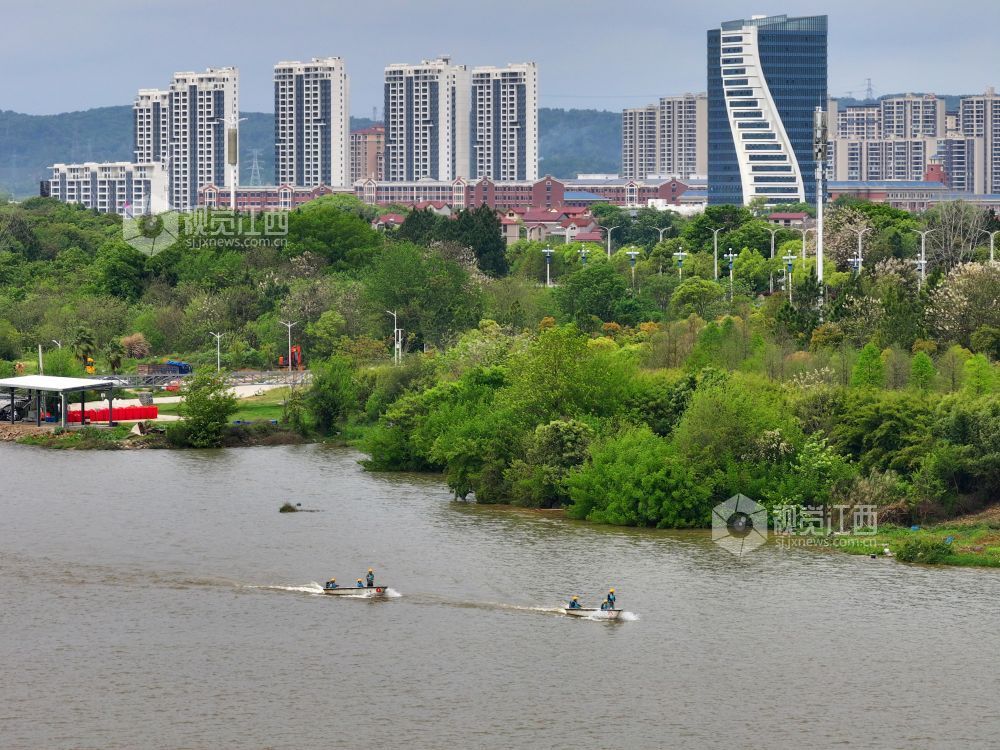 2026年4月8日，江西赣江泰和段，水上保洁员正在巡江护水。江西泰和县以河长制为抓手积极开展江河湖库水系保护，常态化进行水上巡查保洁工作，提升水生态环境质量，助力水安全。