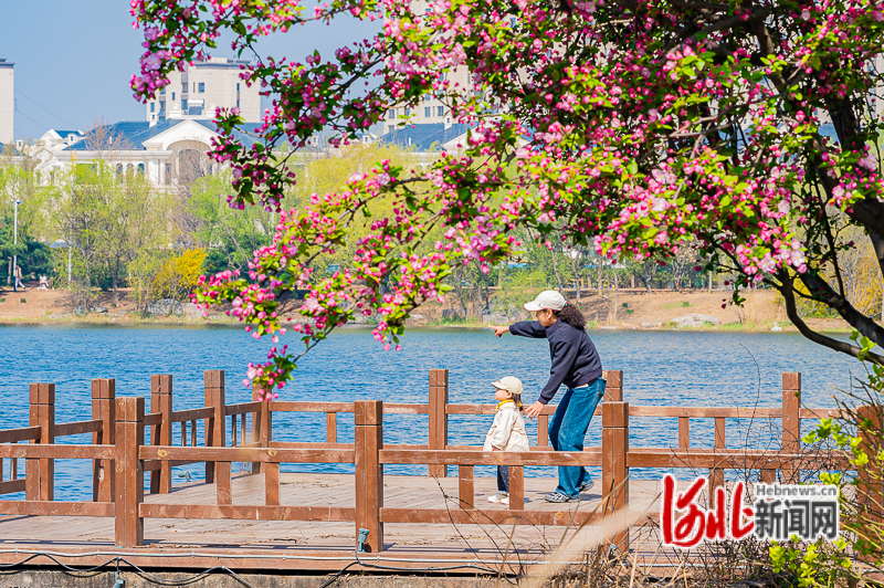 4月10日，市民在青龙湖公园游园。
